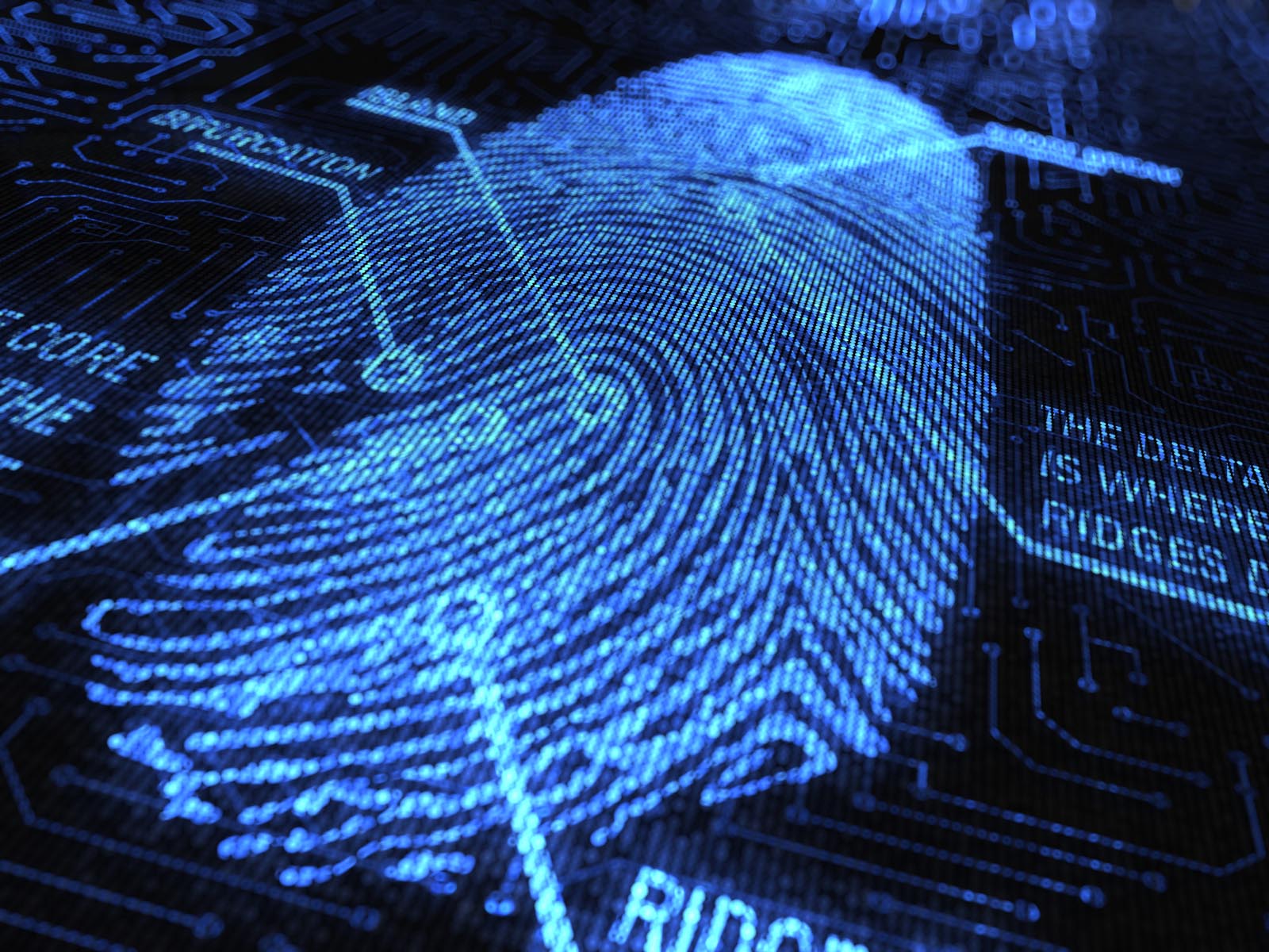 download biometric fingerprint software